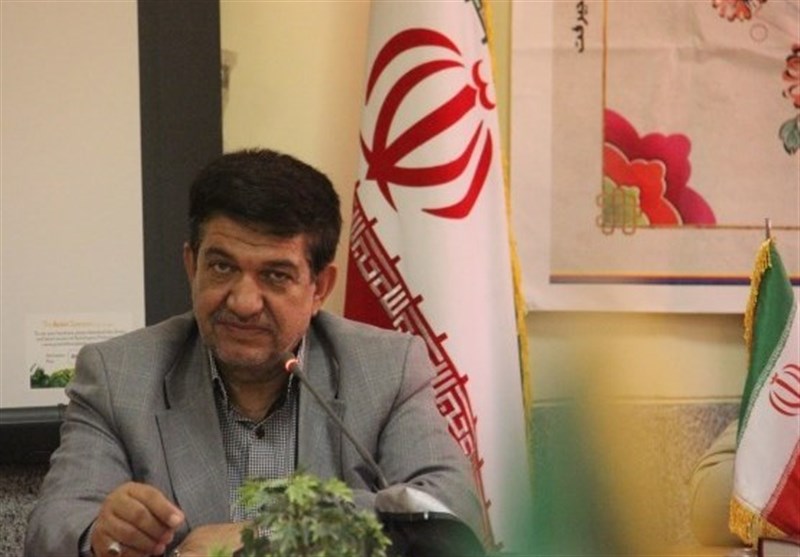 کرمان| 5 کارخانه فرآوری مس در جنوب کرمان راه‌اندازی می‌شود