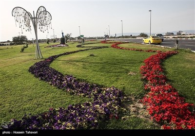 ایران کے جزیرہ کیش میں موسم بہار کی آمد