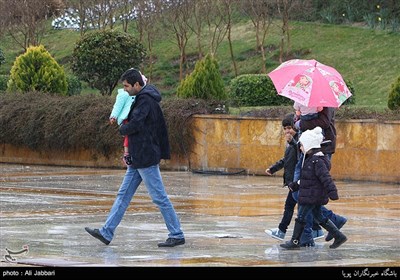 بارش باران در تهران