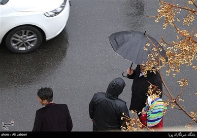 بارش باران در تهران