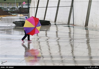 بارش باران در تهران