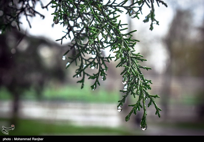 ورود دو موج بارشی به خوزستان/ دمای هوای خوزستان کاهش می‌یابد