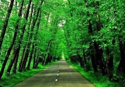 از کویر جن ریگ تا جنگل گیسوم
