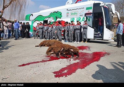 رونمایی از اتوبوس جدید تیم ملی فوتبال