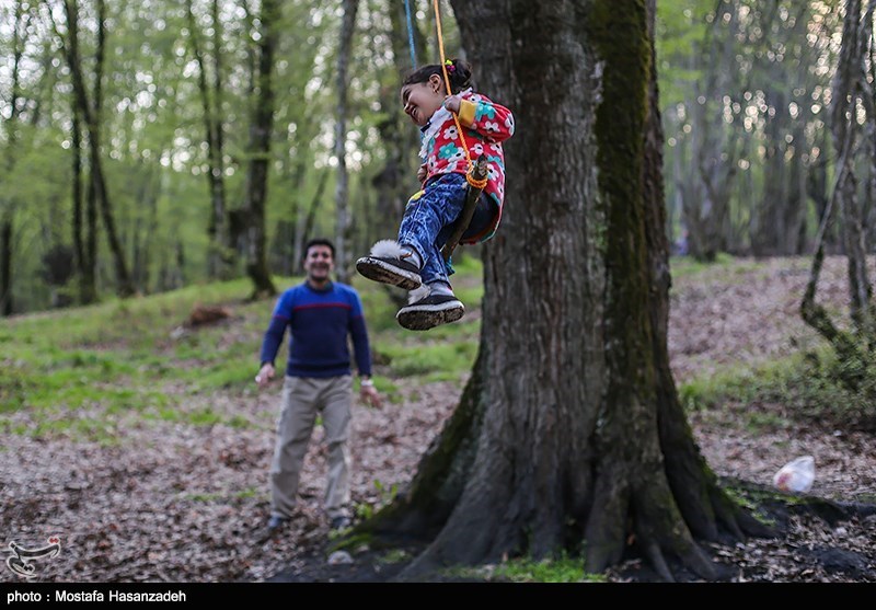 پنج پارک جنگلی &quot;نگارستان ایران&quot; انتخابی نوروزی برای مسافران + تصاویر