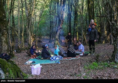 مسافران نوروزی در پارک جنگلی النگدره - گرگان