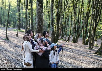 مسافران نوروزی در پارک جنگلی النگدره - گرگان