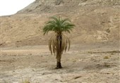 دشت سمسور شهرستان بزمان