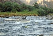 200 کیلومتر از رودخانه‌های استان گلستان نیاز به &quot;دیواره‌سازی&quot; دارد