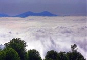خبر خوب برای گردشگران جنگلدوست؛ آنتندهی تلفن همراه در جنگل ابر تقویت میشود