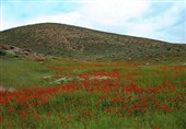 28 هزار گردشگر نوروزی وارد شهرستان پاوه شدند