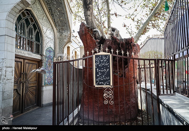 علت نامگذاری 14 مهر به نام روز تهران چیست/جزئیات برنامه‌های &quot;تهرانِ ایرانیان&quot;