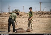 ایران در پیاده‌روی اربعین نهال می‌کارد