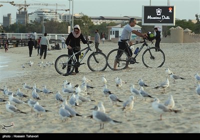 جزيرة كيش في ايام عطلة النوروز