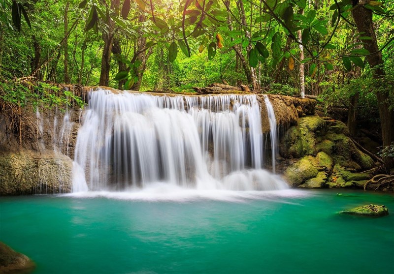 Sound of Nature Helps Us Relax