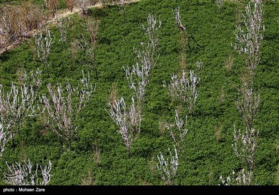 Iran’s Beauties in Photos: First Days of Spring in Ardabil