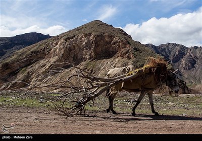 Iran’s Beauties in Photos: First Days of Spring in Ardabil