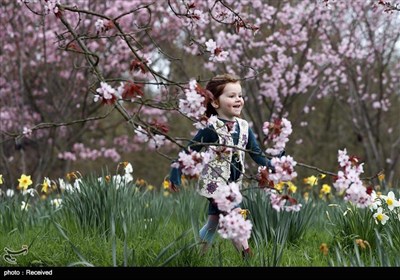 فصل بهار در انگلیس