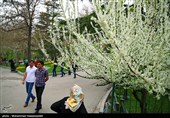 روز طبیعت در پارک ملت