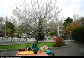 روز طبیعت در پارک ملت