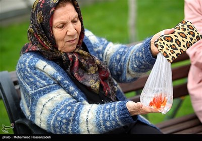 روز طبیعت در پارک ملت