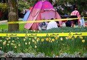 روز طبیعت در پارک ملت