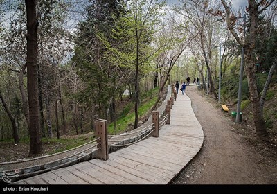 روز طبیعت در پارک طالقانی و بوستان آب و آتش