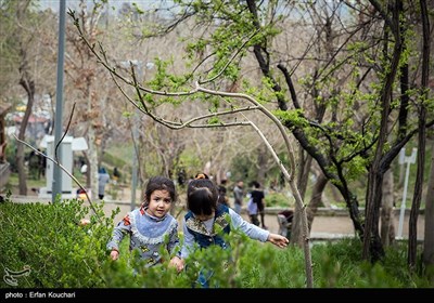 روز طبیعت در پارک طالقانی و بوستان آب و آتش