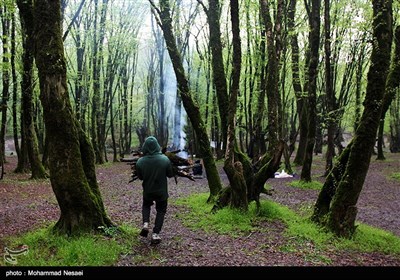 People in Iran Celebrate Nature Day