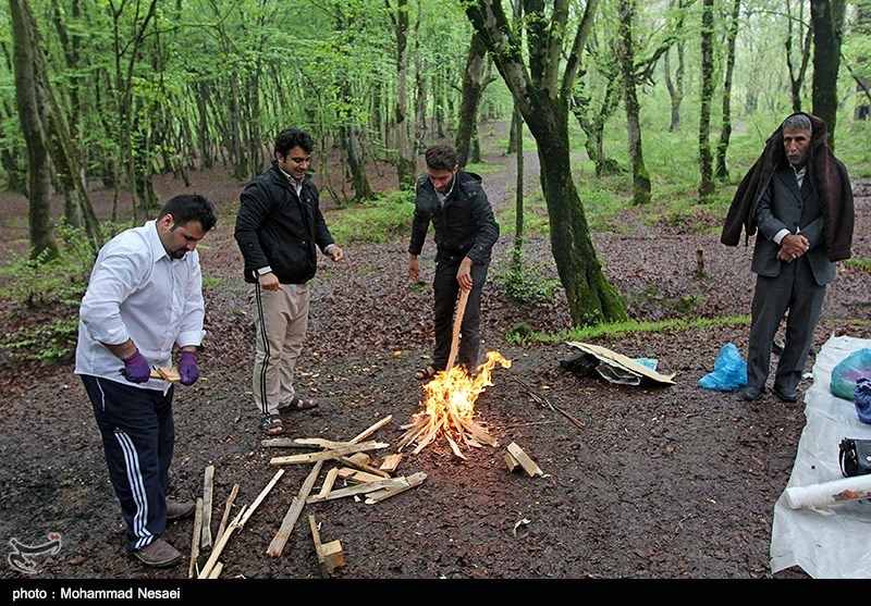 هشدار فرمانده یگان حفاظت محیط زیست درباره وقوع حریق در مراتع و جنگلهای تهران