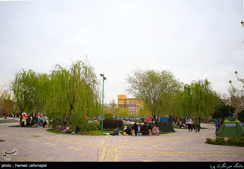 ایلام| طبیعت بهاری شهرستان آبدانان به روایت تصویر