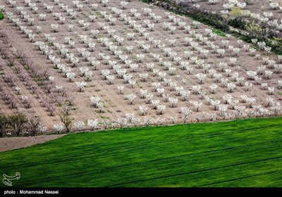 Iran's Beauties in Photos: Spring in Gorgan