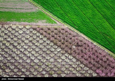 Iran's Beauties in Photos: Spring in Gorgan