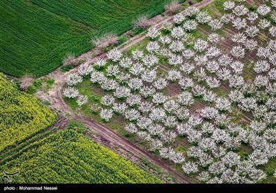 طبیعت بهاری گرگان