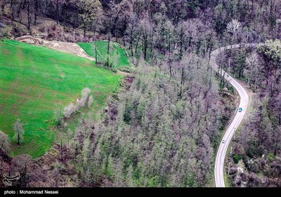 Iran's Beauties in Photos: Spring in Gorgan