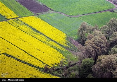 طبیعت بهاری گرگان