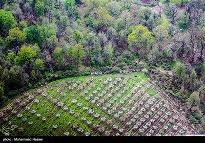 طبیعت بهاری گرگان