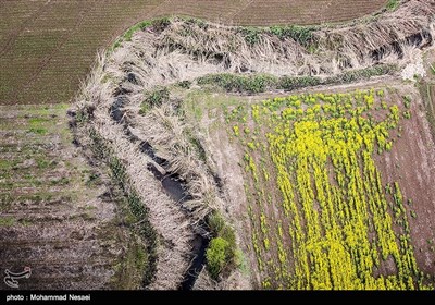 Iran's Beauties in Photos: Spring in Gorgan