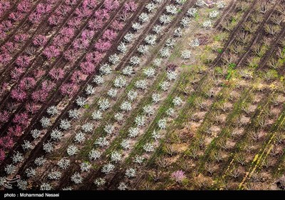 Iran's Beauties in Photos: Spring in Gorgan