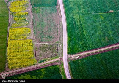 طبیعت بهاری گرگان