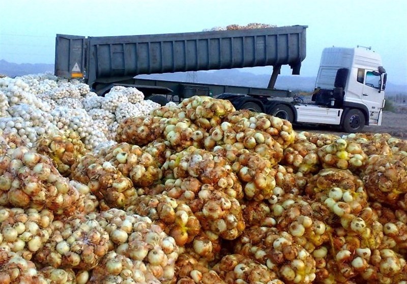 صادرات محصولات کشاورزی استان خراسان شمالی 33 درصد افزایش یافت