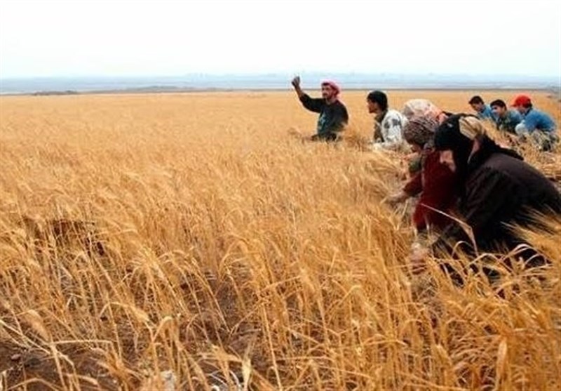 3 خیانت به کشاورزی ایران با امضای &quot;سند آموزش 2030 یونسکو&quot;+ سند