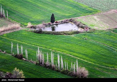ایران کے شہر گرگان میں موسم بہار کی دستک
