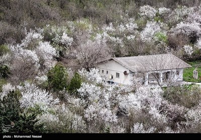 ایران کے شہر گرگان میں موسم بہار کی دستک