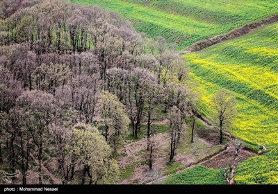 ایران کے شہر گرگان میں موسم بہار کی دستک