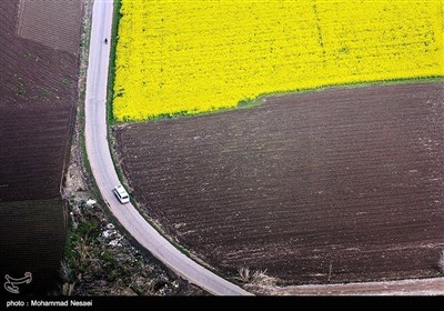 ایران کے شہر گرگان میں موسم بہار کی دستک