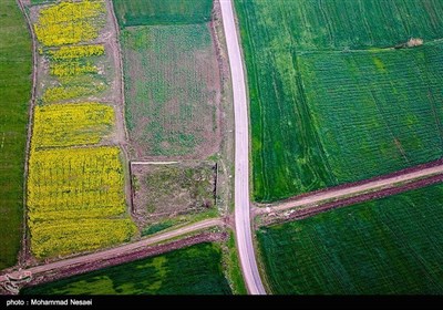 ایران کے شہر گرگان میں موسم بہار کی دستک