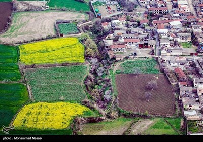 ایران کے شہر گرگان میں موسم بہار کی دستک