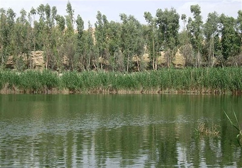 حوزه شکار صید ممنوع تالاب‌های پلدختر به منطقه حفاظت‌شده تبدیل شود