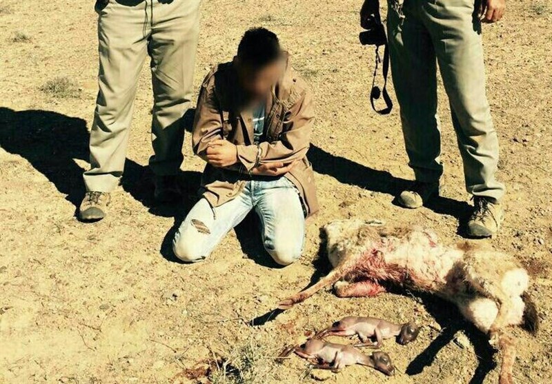دستگیری سه شکارچی غیرمجاز در شهرستان رودسر